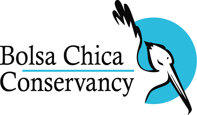 Bolsa Chica Conservancy Logo Bolsa Chica Conservancy Logo